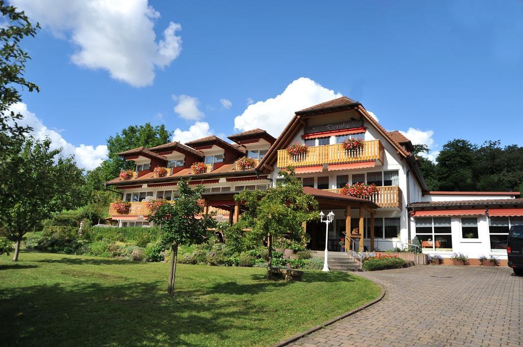 Hotel Dernbachtal Экстерьер фото