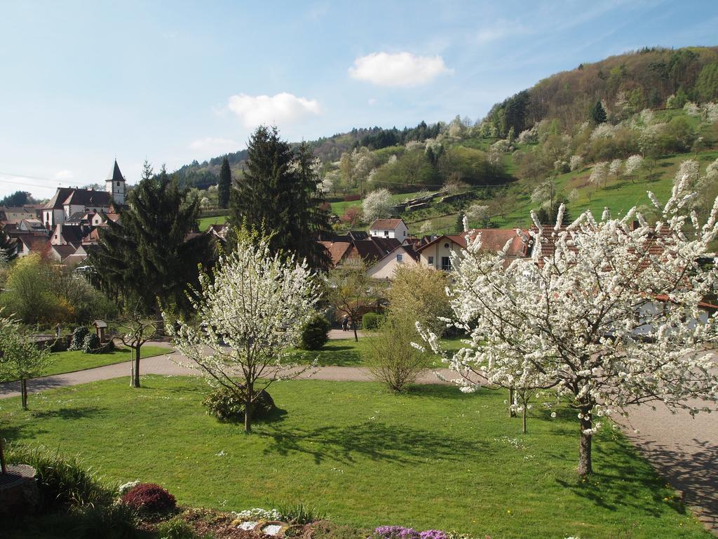 Hotel Dernbachtal Экстерьер фото